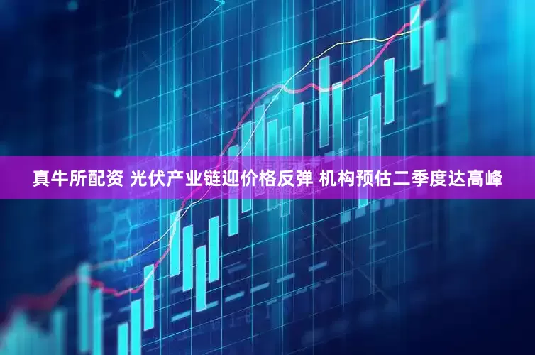 真牛所配资 光伏产业链迎价格反弹 机构预估二季度达高峰