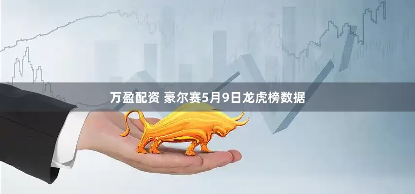 万盈配资 豪尔赛5月9日龙虎榜数据