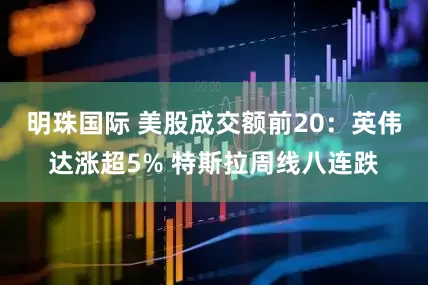 明珠国际 美股成交额前20：英伟达涨超5% 特斯拉周线八连跌