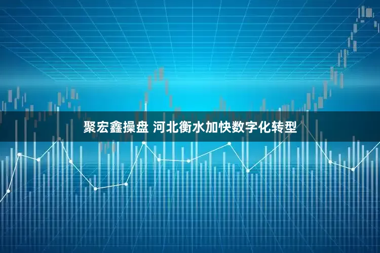 聚宏鑫操盘 河北衡水加快数字化转型